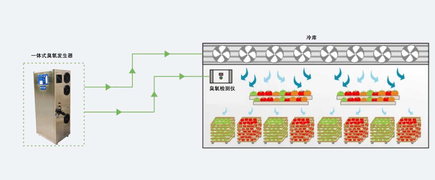 臭氧消毒效果驗(yàn)證實(shí)驗(yàn)：如何選擇生物指示劑（如枯草桿菌黑色變種芽孢）？